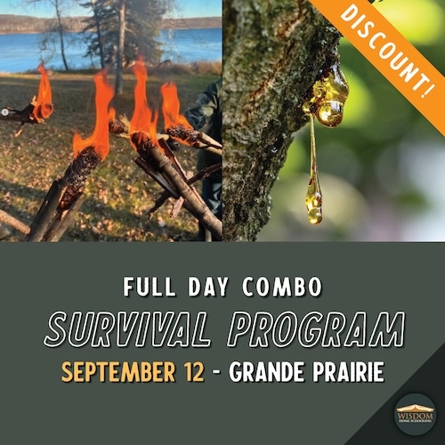 Survival: Grande Prairie B